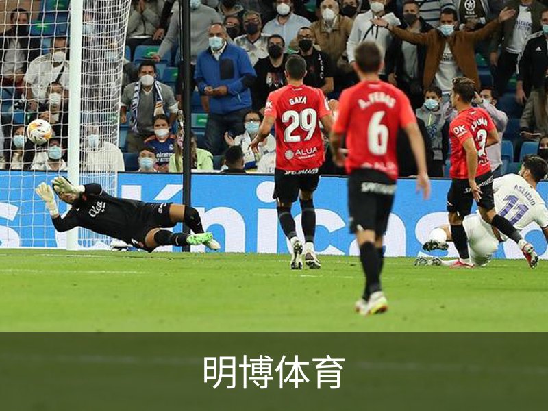 走进明博体育